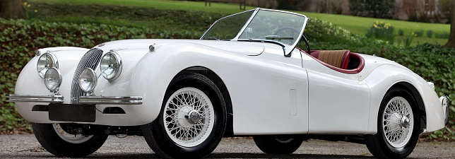Jaguar: история бренда Jaguar: история бренда